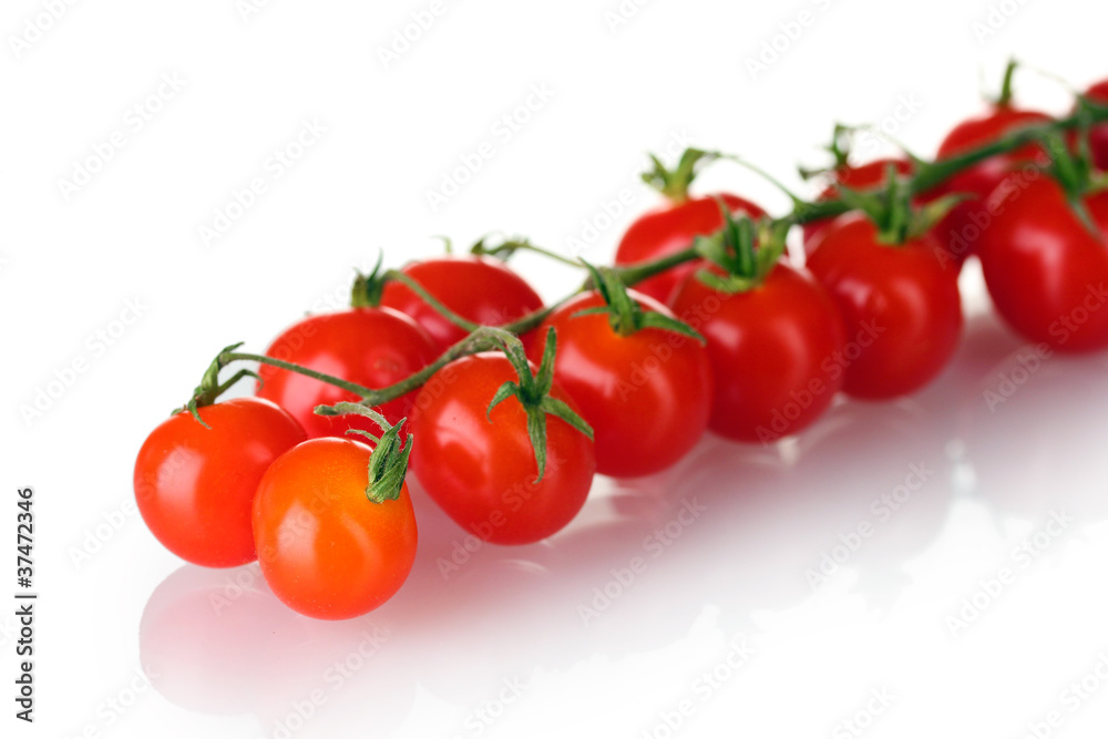 Beautiful cherry tomatoes on a branch isolated on white Beautiful cherry tomatoes on a branch isolated on white