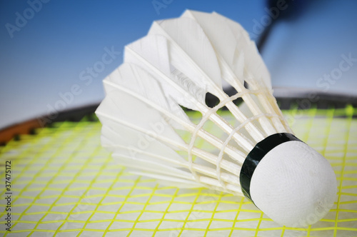Badminton racket and Shuttlecock