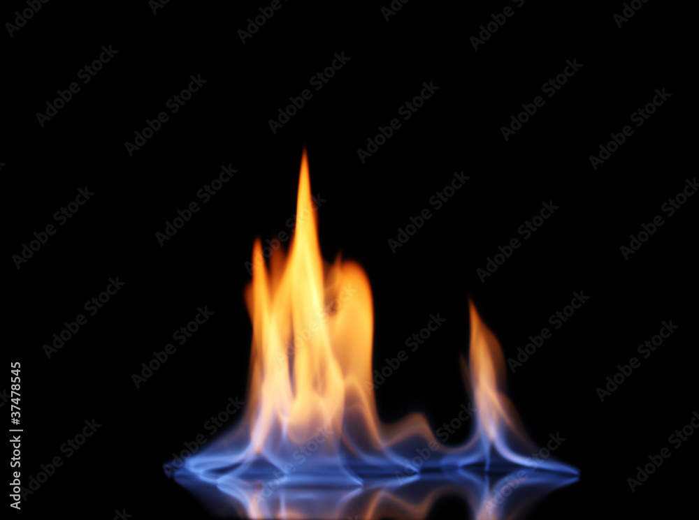 beautiful fire on a black background