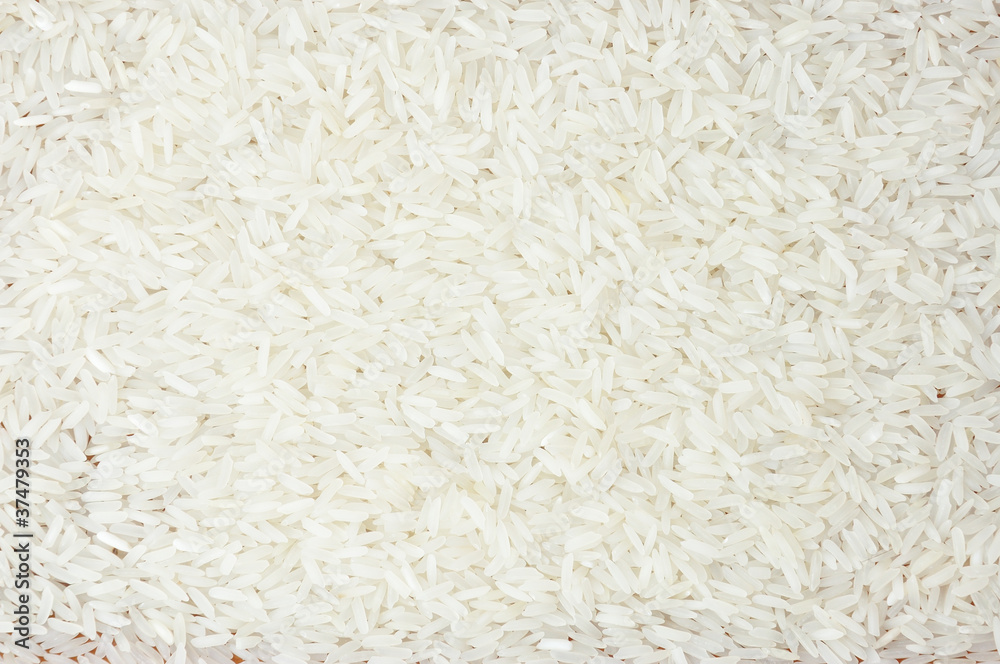 closeup of rice closeup of rice
