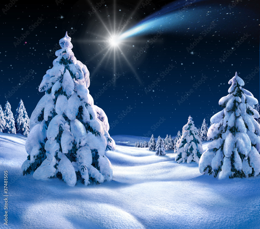 Weihnachtslandschaft 2 StockIllustration Adobe Stock