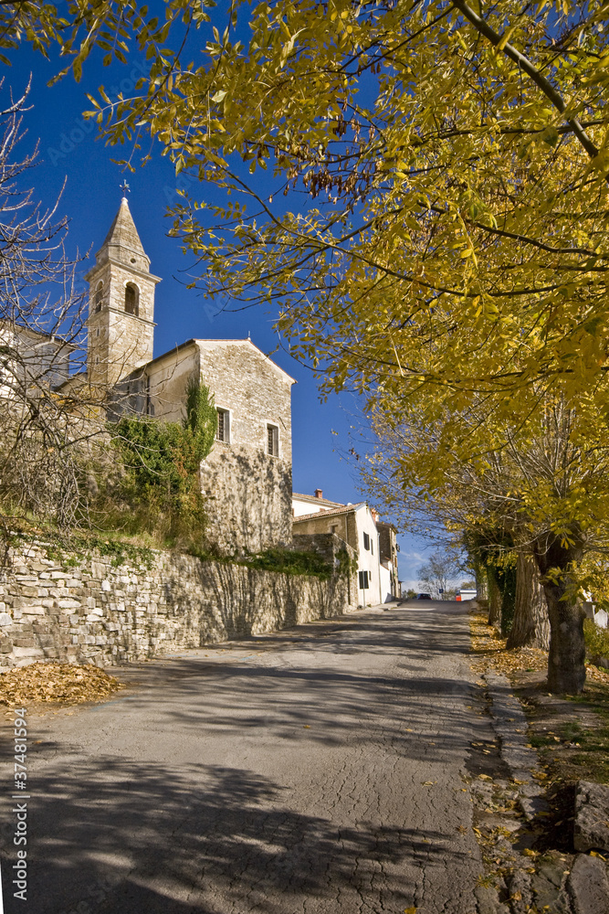 The church in Motovun and autumn tree