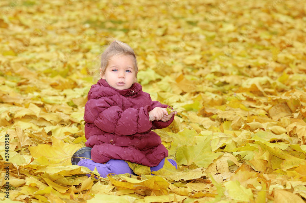 Adorable toddler girl with autumn leaves Adorable toddler girl with autumn leaves