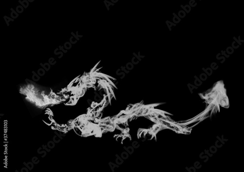 Fototapeta Naklejka Na Ścianę i Meble -  White fiery dragon