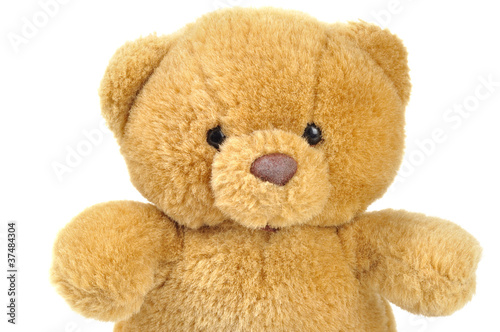 Teddy bear photo