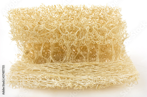 loofah