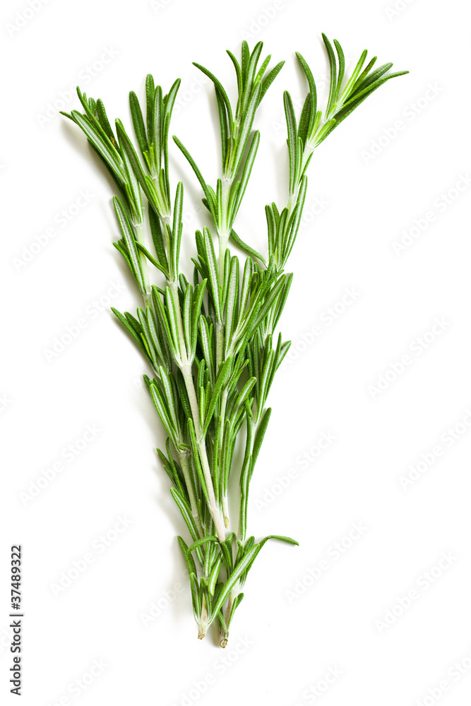 fresh rosemary