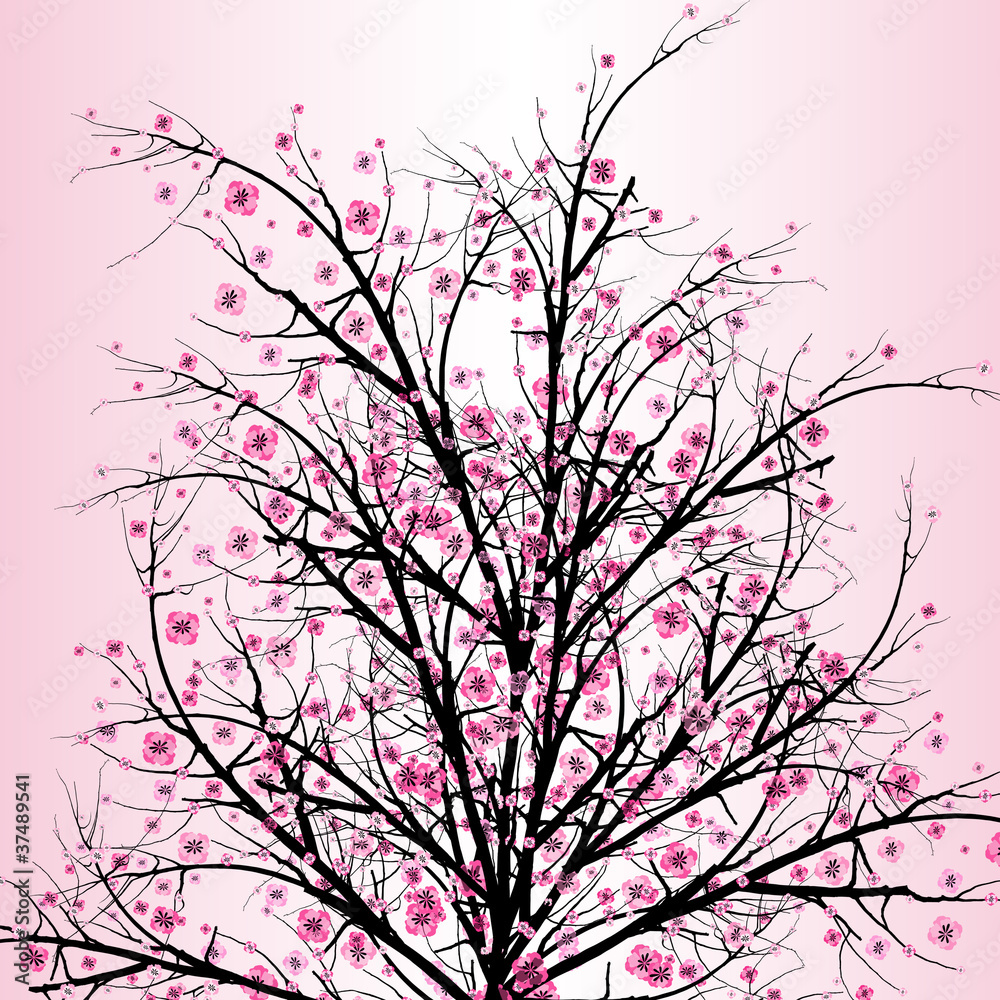 Fototapeta premium Blossom Cherry