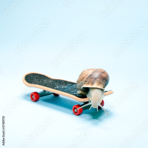 Snail skating