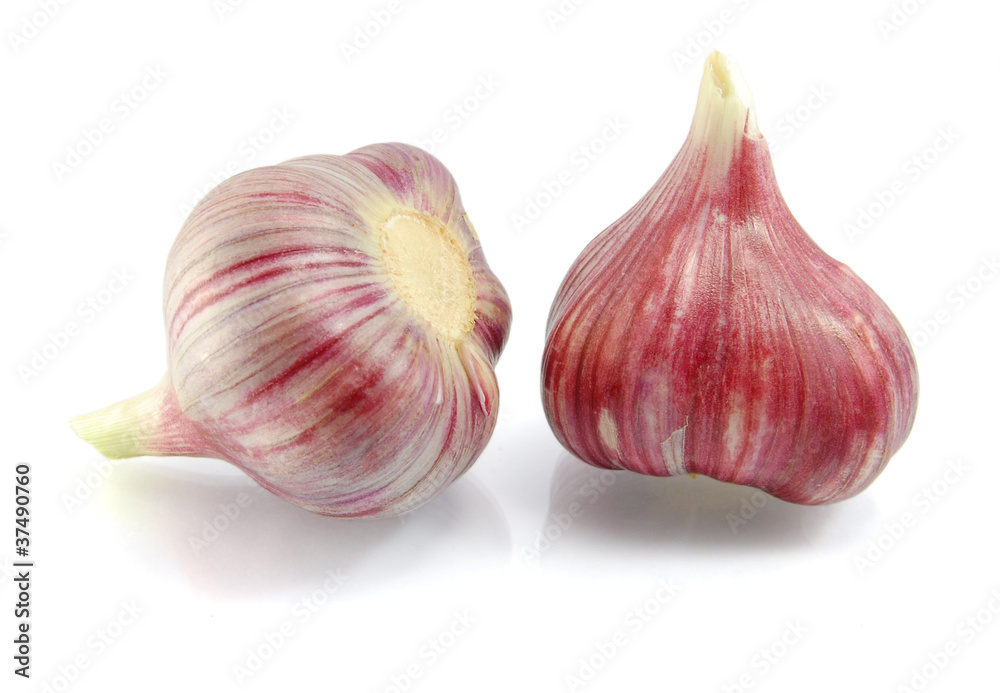 Obraz premium garlic isolated on the white background