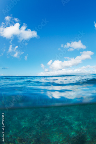 Tropical Ocean, Split View Half Over Half Underwater
