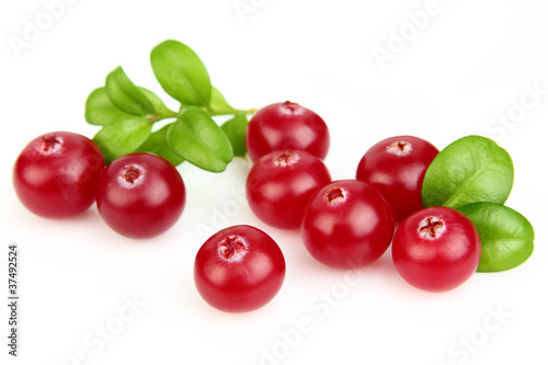 Cranberry with leaves