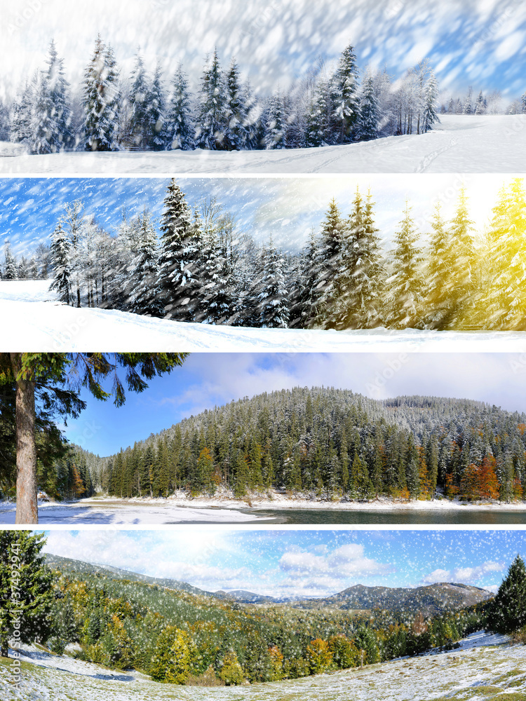 Obraz premium Beautiful winter collage
