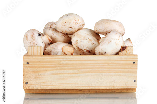 fresh mushrooms in a wooden box isolated on white