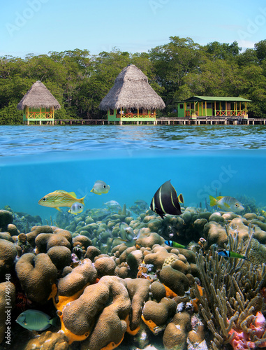 Above and below water surface, split image with hut overwater and coral reef with tropical fish underwater, Caribbean sea, Bocas del Toro, Panama photo