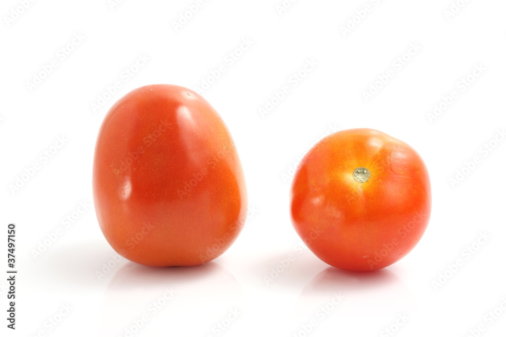 Tomato isolated in white background Tomato isolated in white background