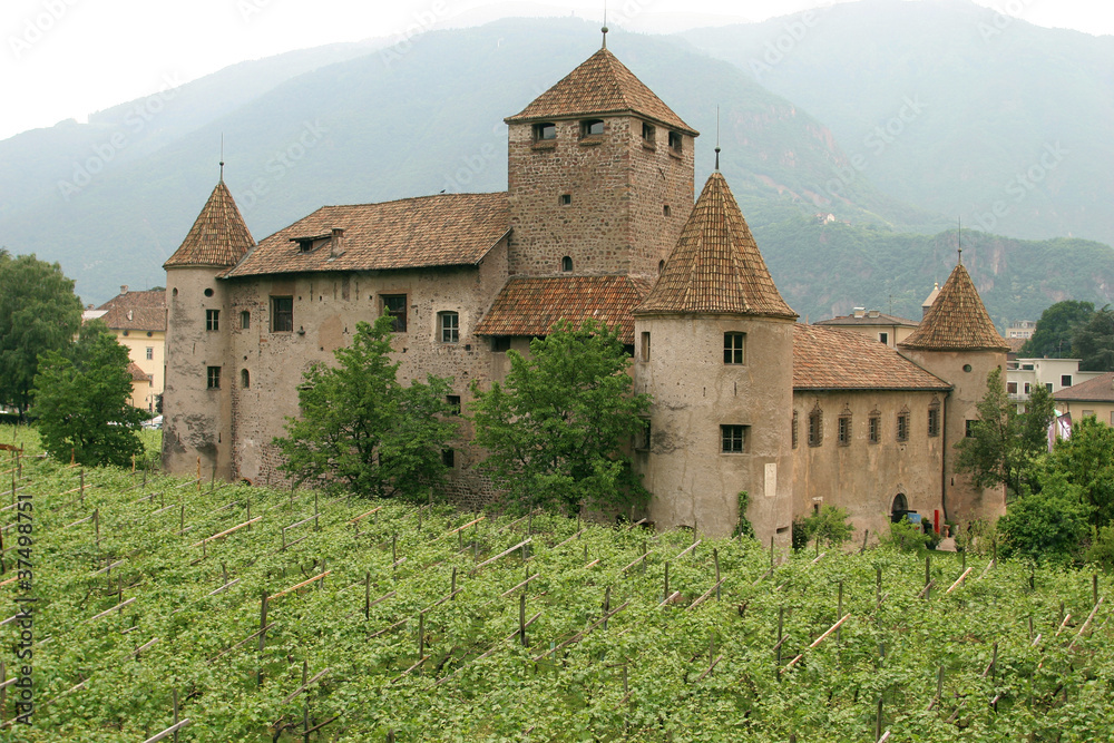 Bolzano, castel Mareccio e vigneti