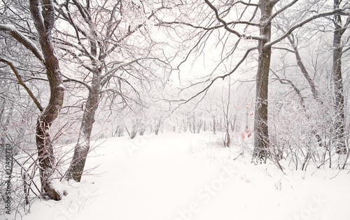 Nice winter photo © Horváth Botond