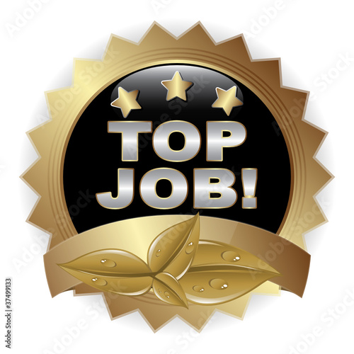 TOP JOB! ICON