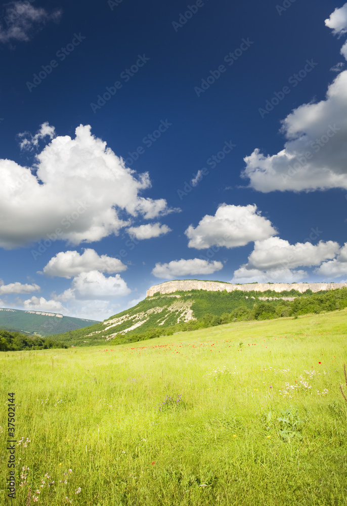 Obraz premium Green meadow in mountain.