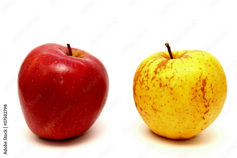 Red and yellow apples on a white background