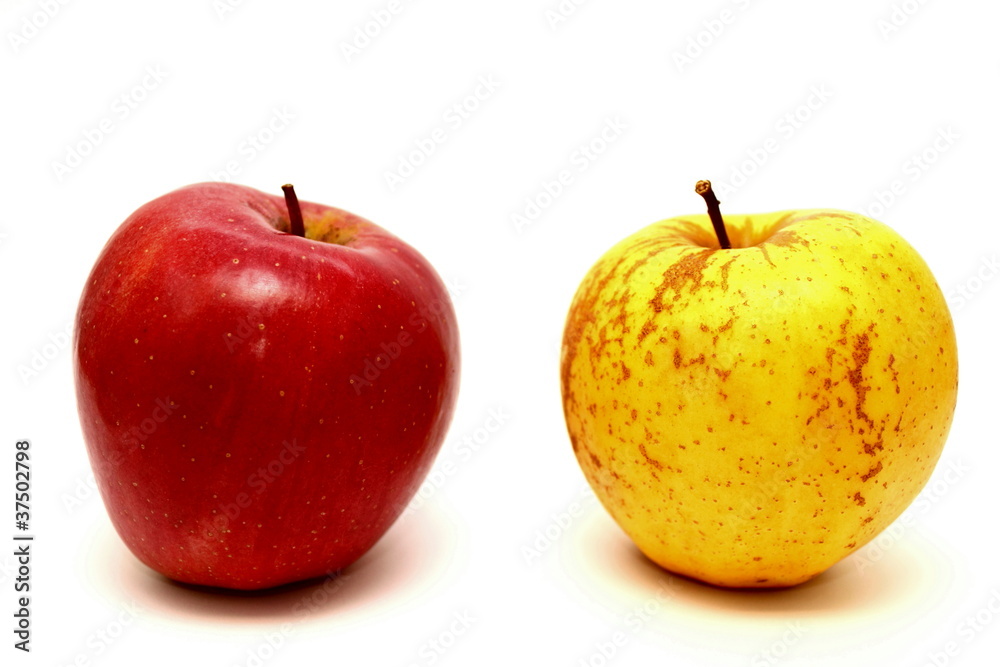 Red and yellow apples on a white background Red and yellow apples on a white background