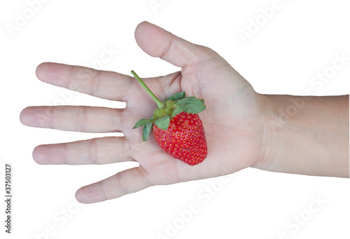 fresh strawberry in hand isolated on white background