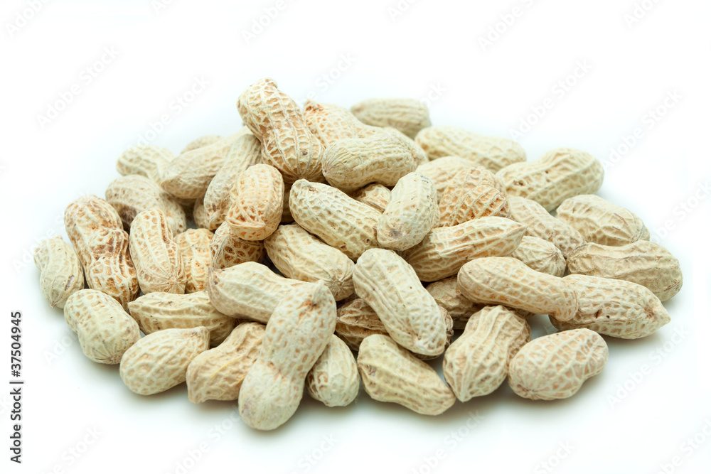 Peanut