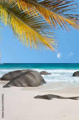 plage des Seychelles sous les cocotiers © Unclesam
