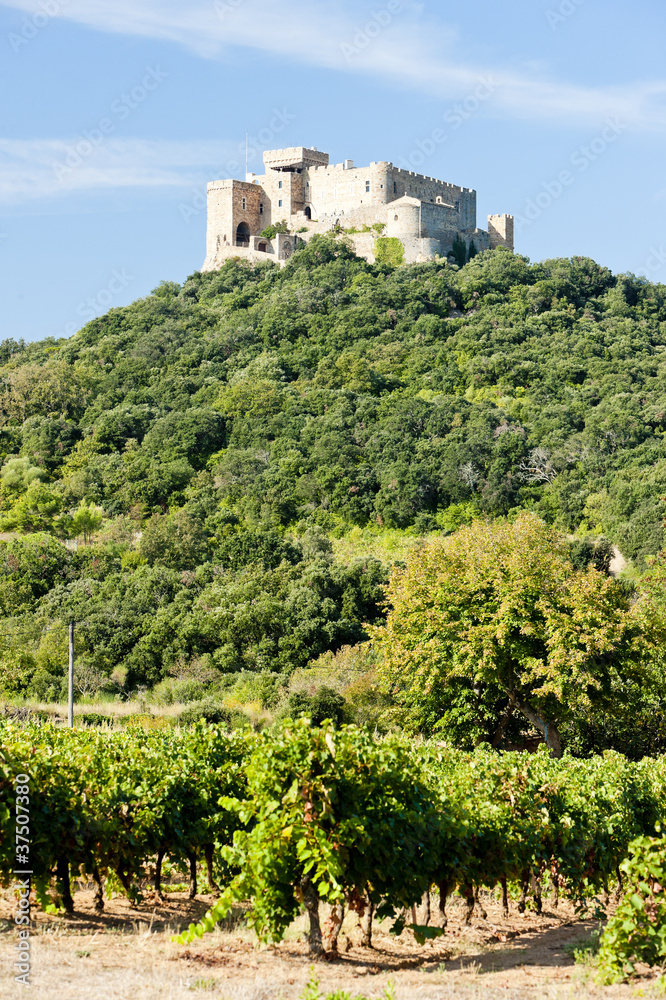 castle Saint Martin with vineyard, Languedoc-Roussillon, France