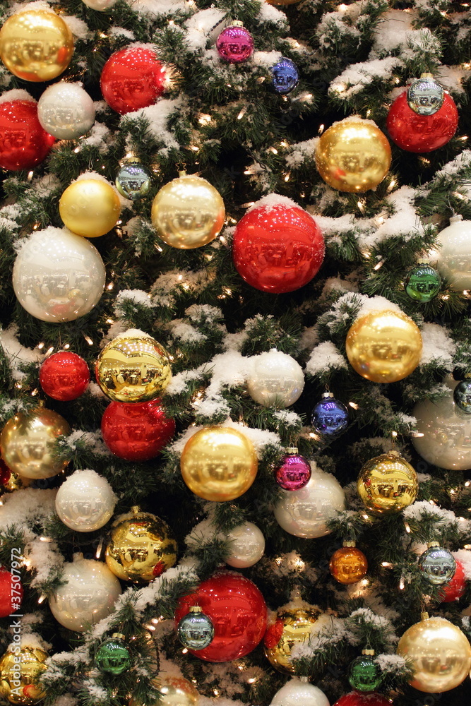Weihnachtsbaum hoch Weihnachtsbaum hoch