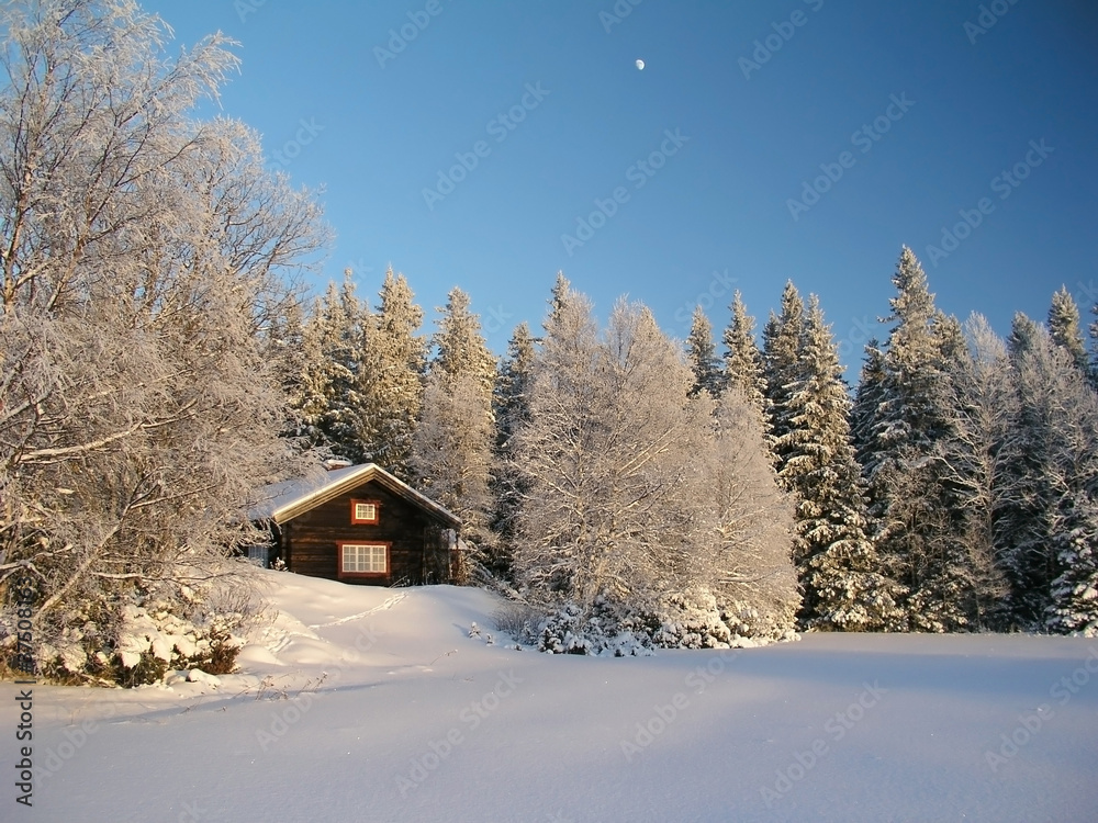 Winter landscape with a cabin