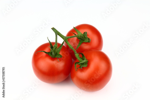 tomatoes © Kunz Husum