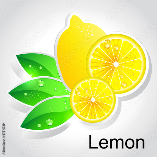 Vector lemon