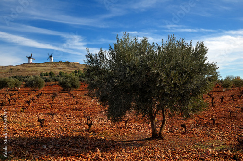 Spanish landscape with windmills on background