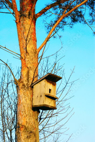 Bird house hungs on tree photo