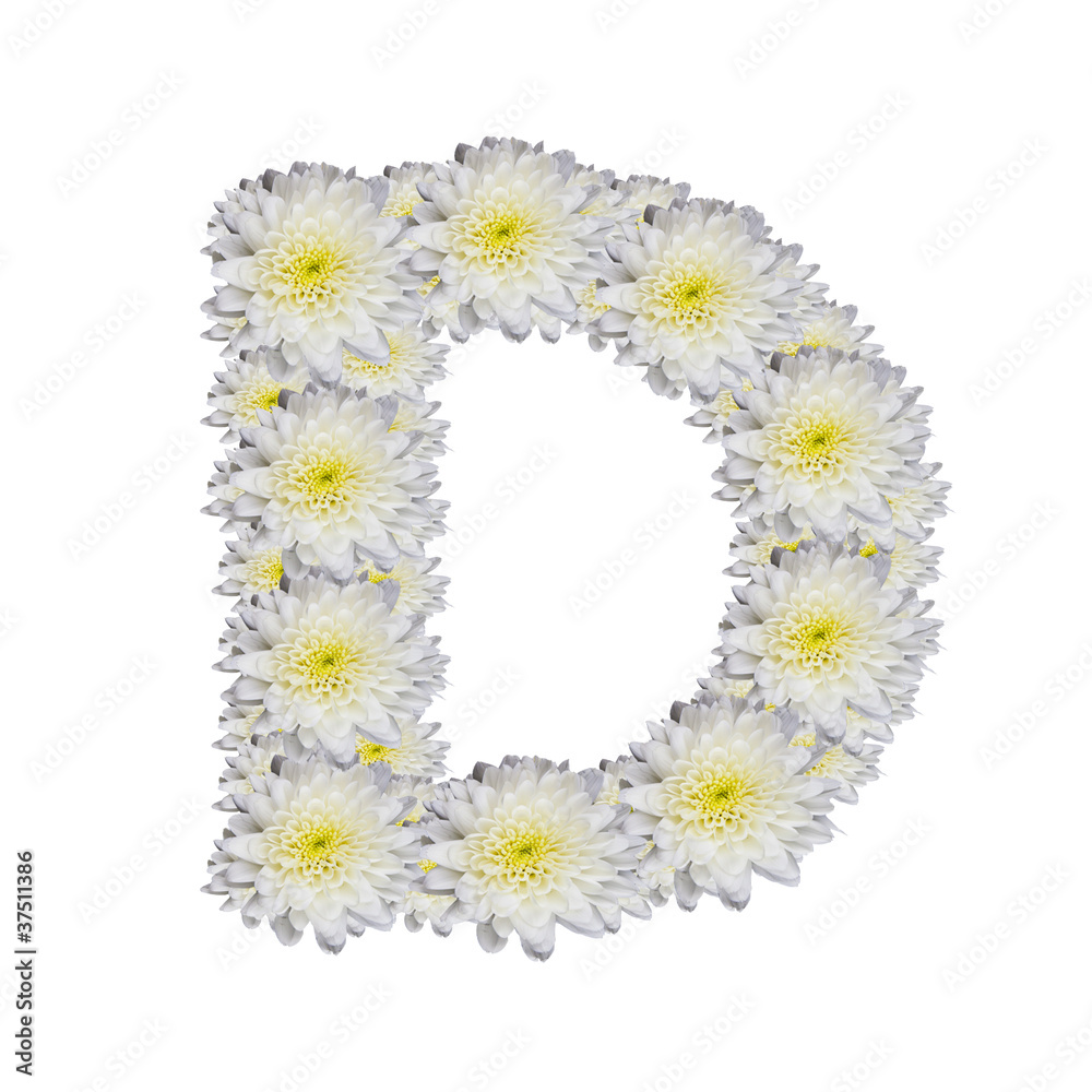 alphabet D, White Flower on white background alphabet D, White Flower on white background