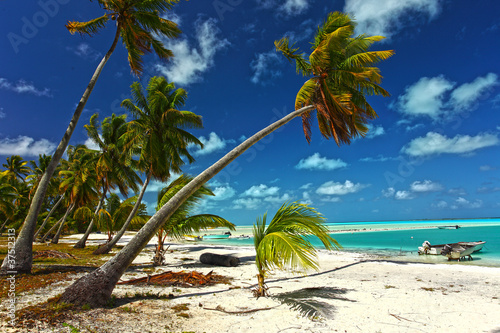 paradise