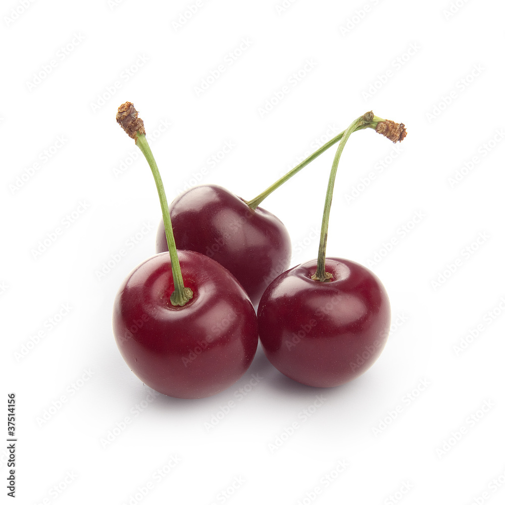 Cherry Cherry