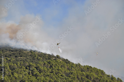 Waldbrand auf Mallorca