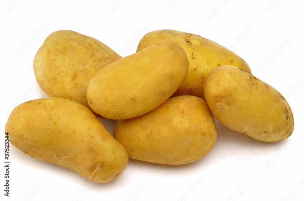 pomme de terre pomme de terre