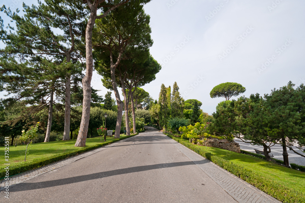 Walk at the Vatican Gardens