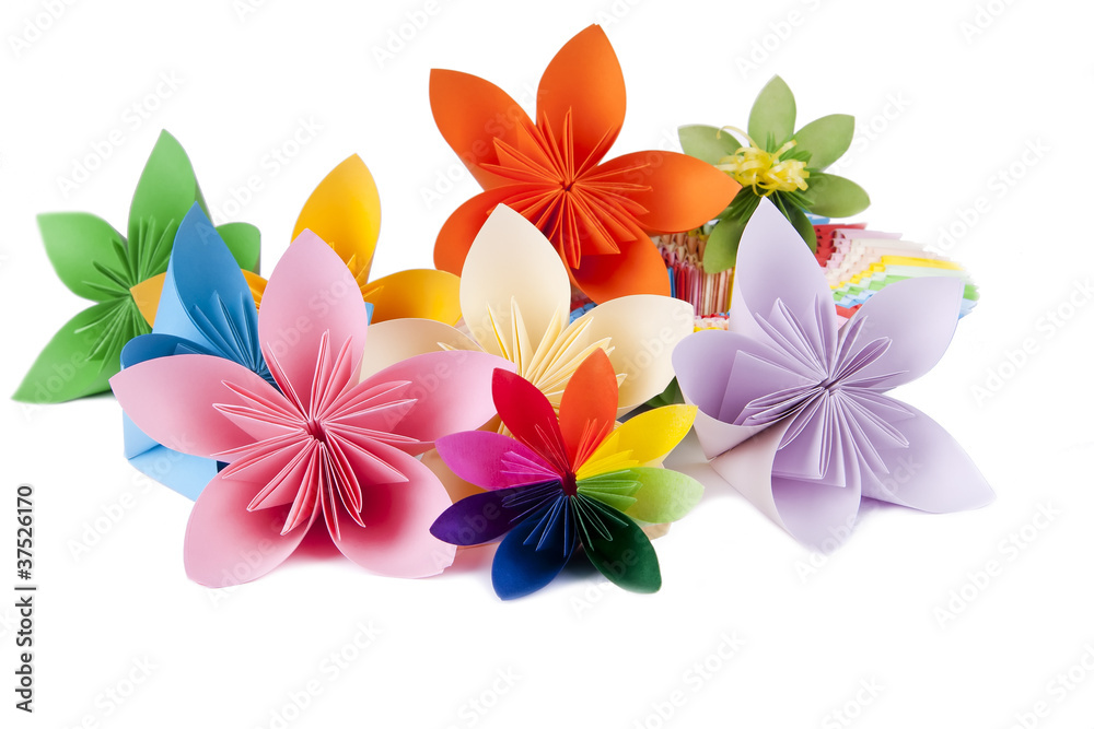 Naklejka premium colorful flowers for kusudama on white background
