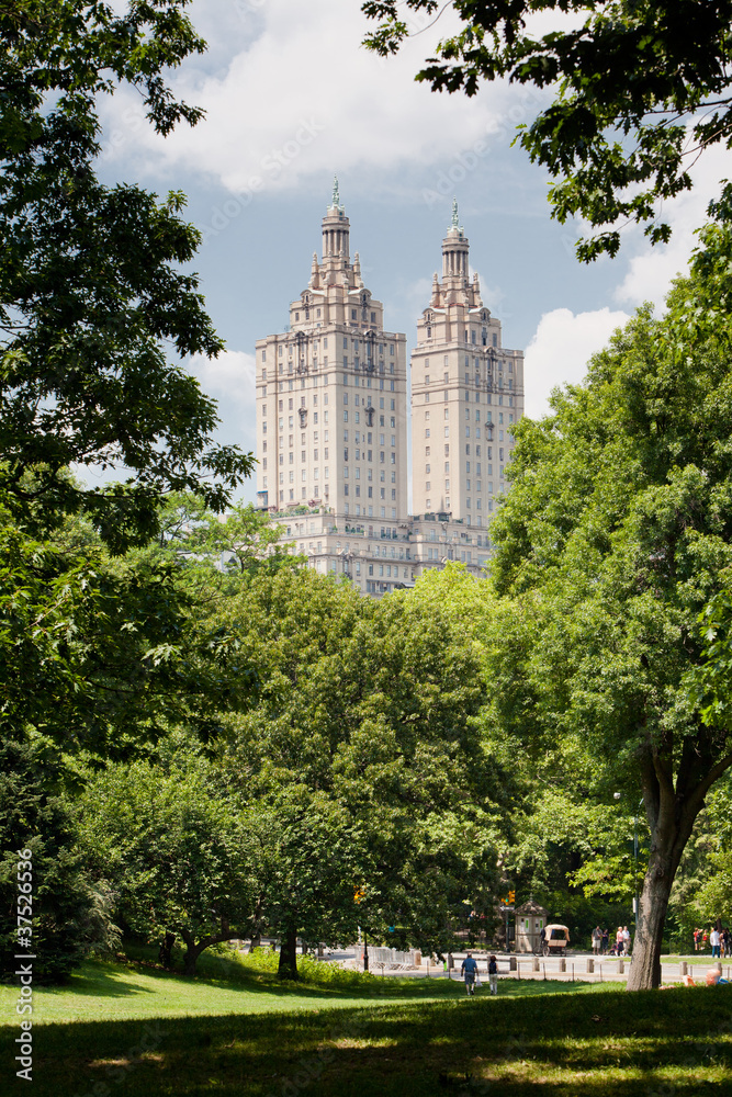 Obraz premium Central Park III