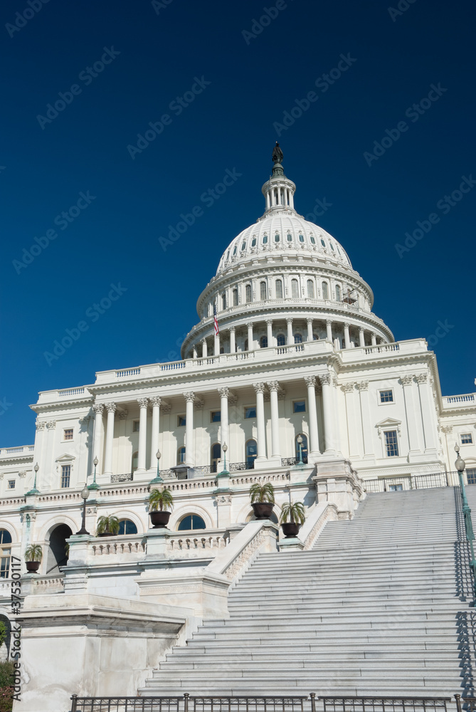 Obraz premium The US Capitol