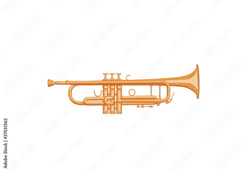 Obraz premium Trumpet