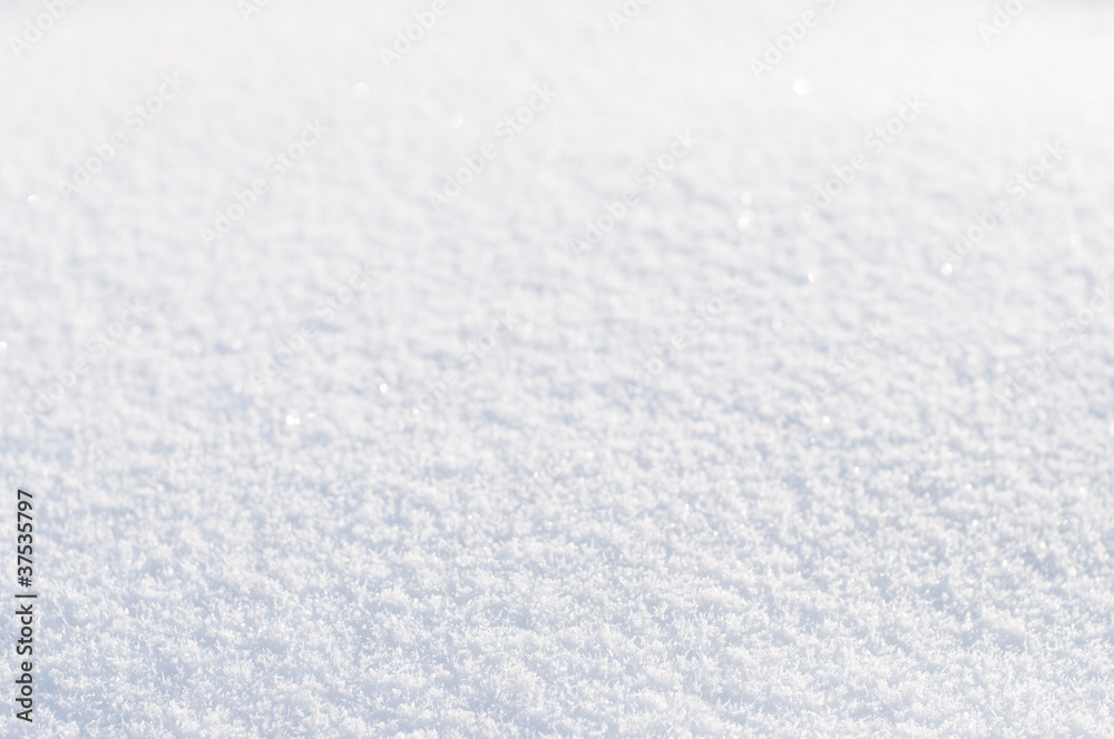 Background from white  snow. Small DOF. Focus down.