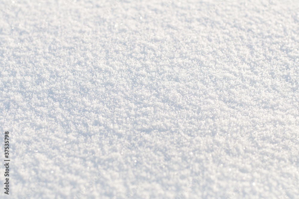 Background from white  snow. Small depth of focus center.