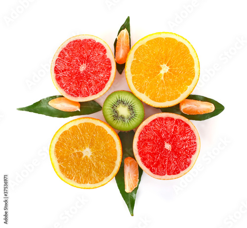 fruity compass isolated on white background