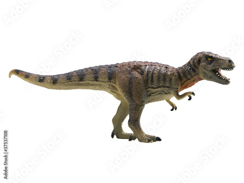 tyrannosaurus-rex isolated on white background